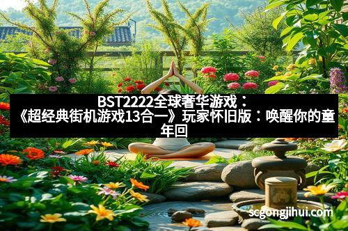 BST2222全球奢华游戏：《超经典街机游戏13合一》玩家怀旧版：唤醒你的童年回忆，尽享经典游戏盛宴